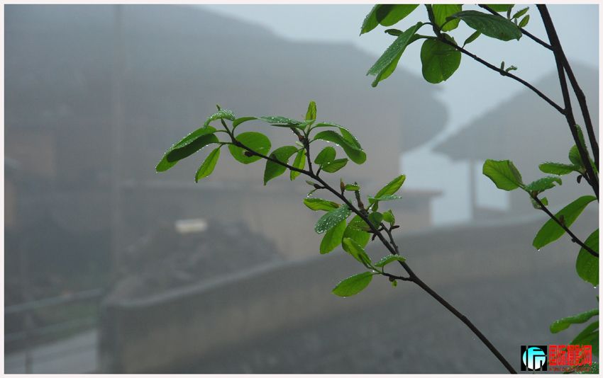 �������� (2).jpg