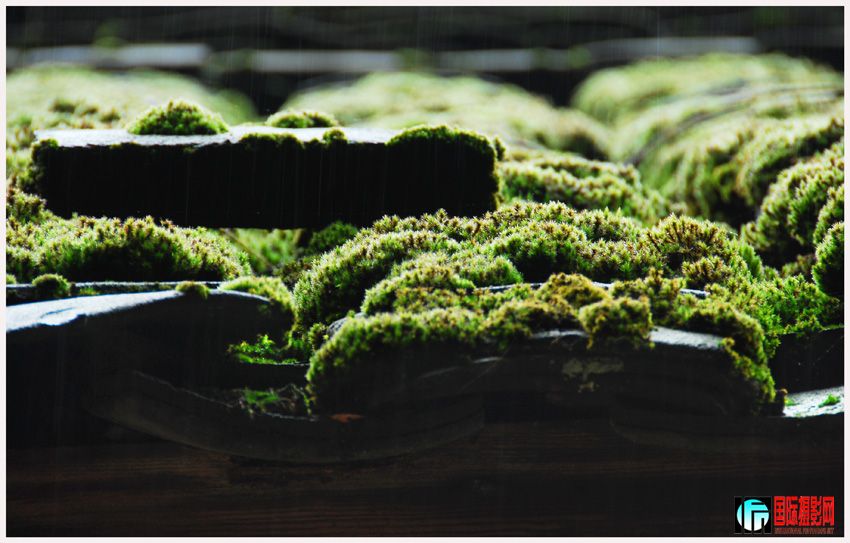 ����ϸ���� (2).jpg