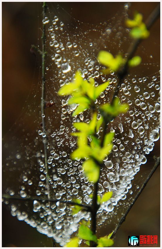 ����ϸ���� (4).jpg