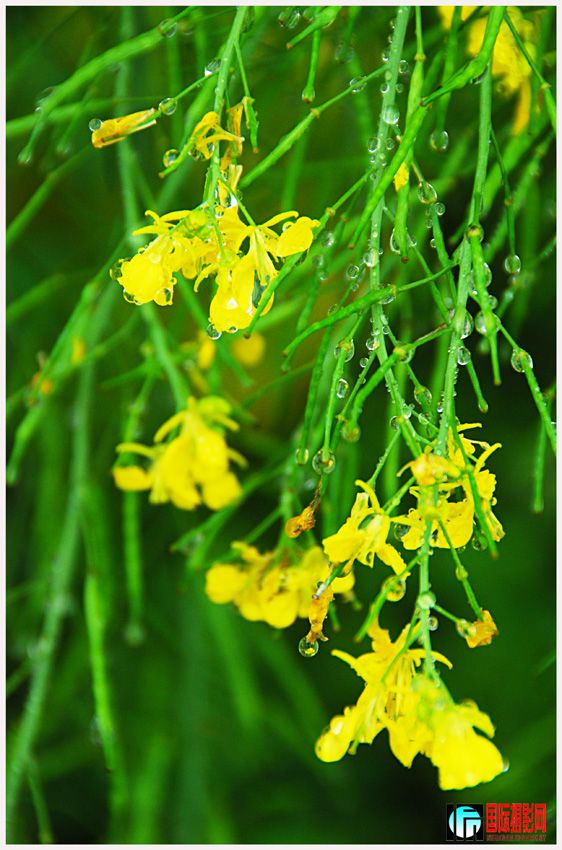 ����ϸ���� (3).jpg