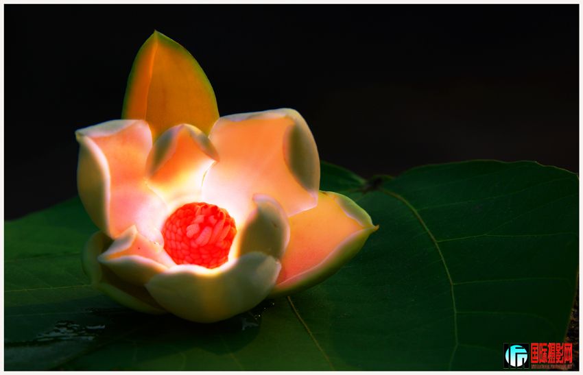 ��ʯ�� ����.jpg