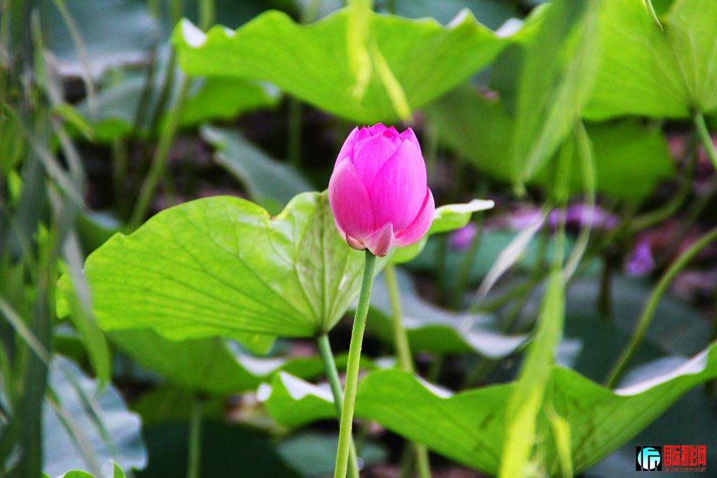 ҡҷ---�����ͺɻ����ڶ�