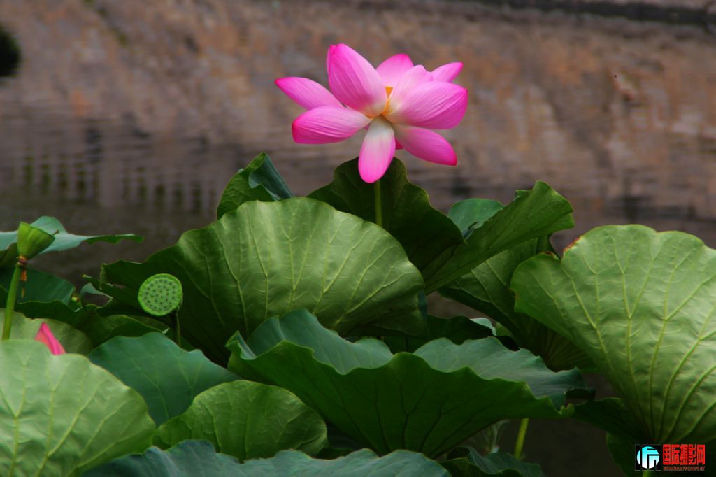 2011��7��19�գ���վ��Ů������ 086.jpg