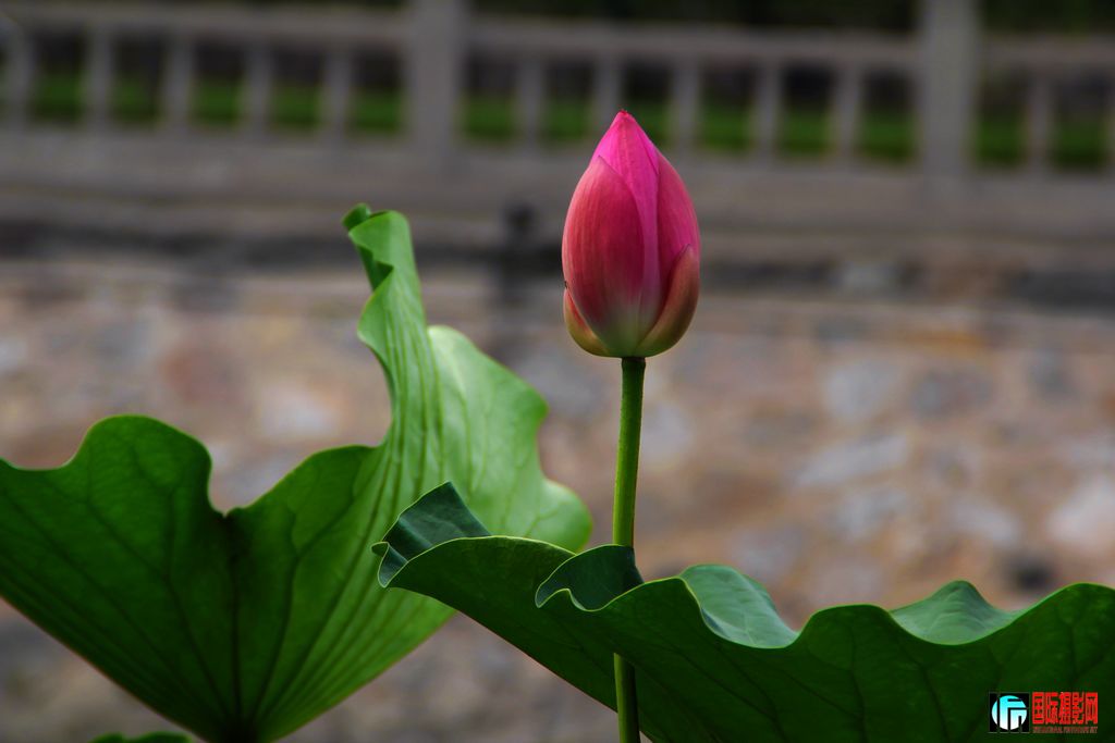 2011��7��19�գ���վ��Ů������ 384.jpg