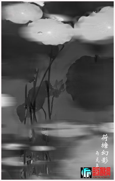 ������Ӱ-1 ����.jpg