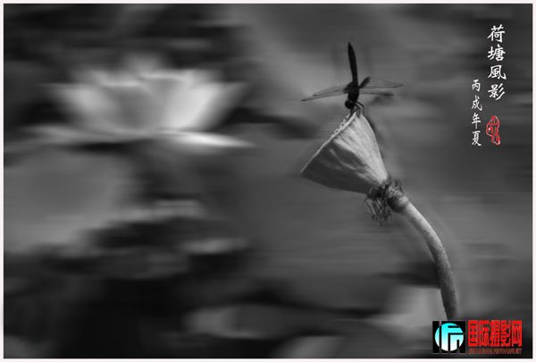 ������Ӱ-1 ����.jpg