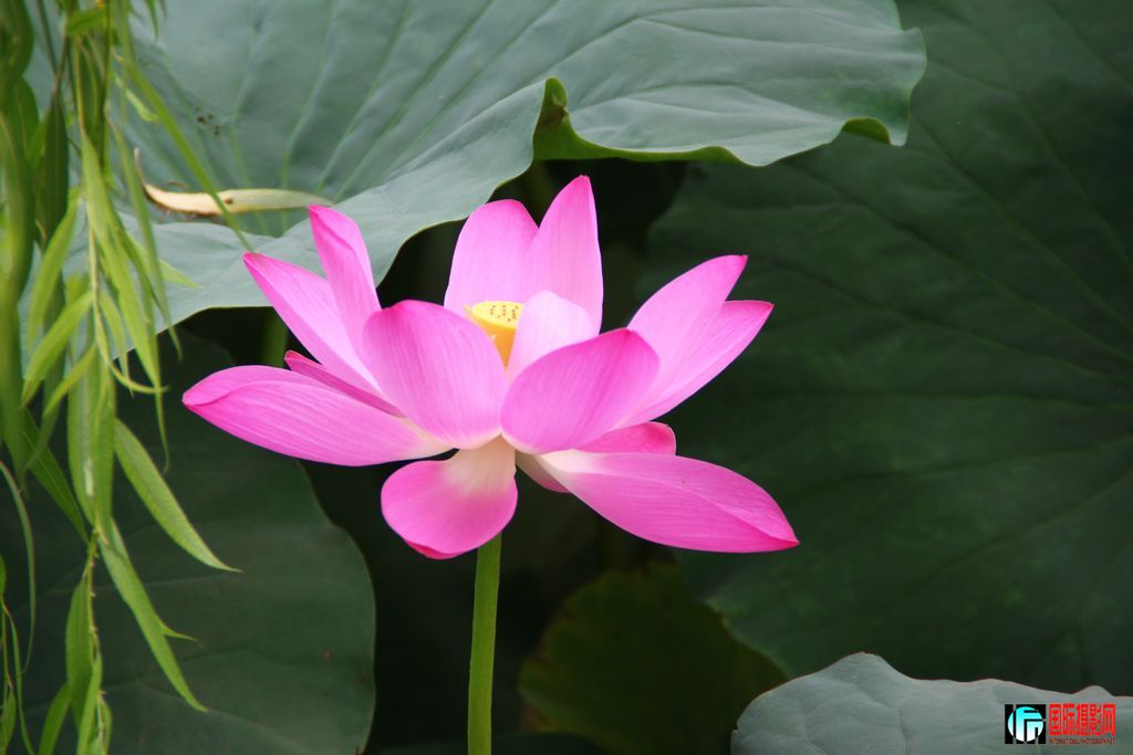 2011��7��19�գ���վ��Ů������ 003.jpg