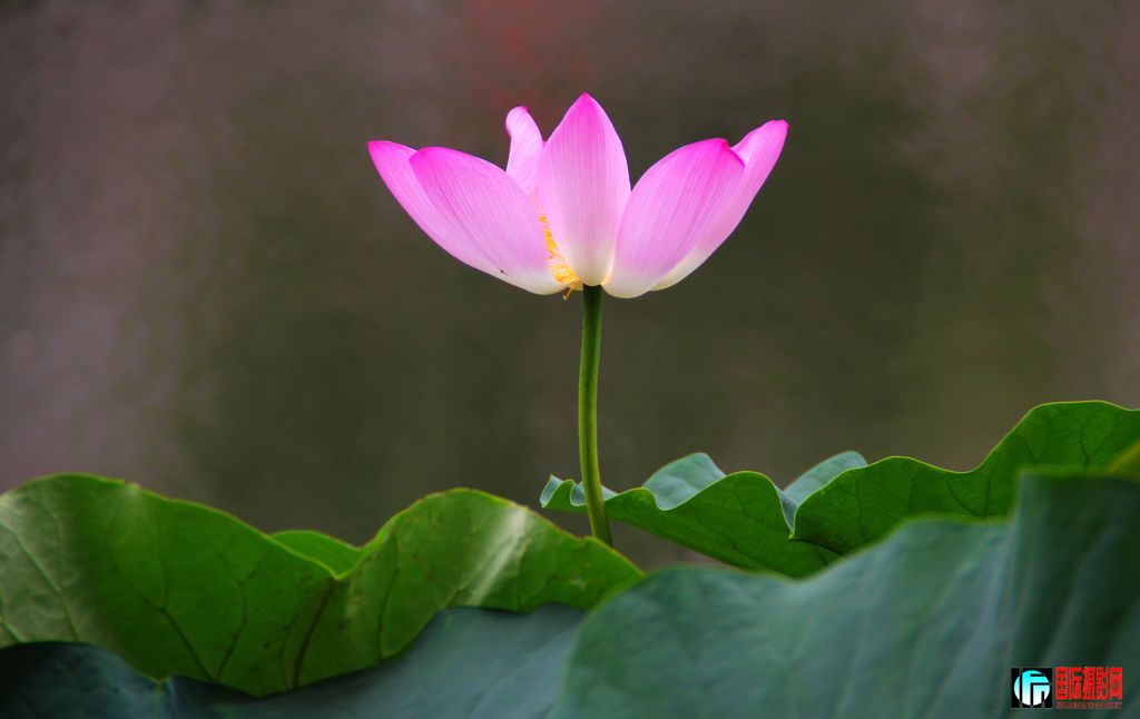 2011��7��19�գ���վ��Ů������ 063.jpg