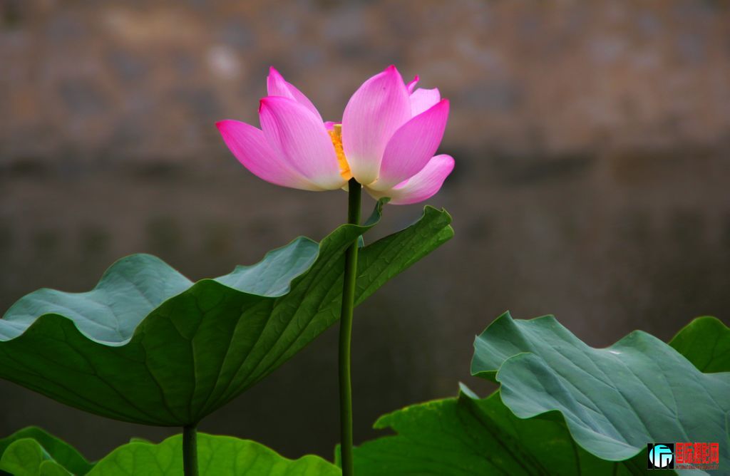 2011��7��19�գ���վ��Ů������ 067.jpg