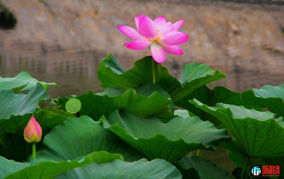 2011��7��19�գ���վ��Ů������ 087.jpg