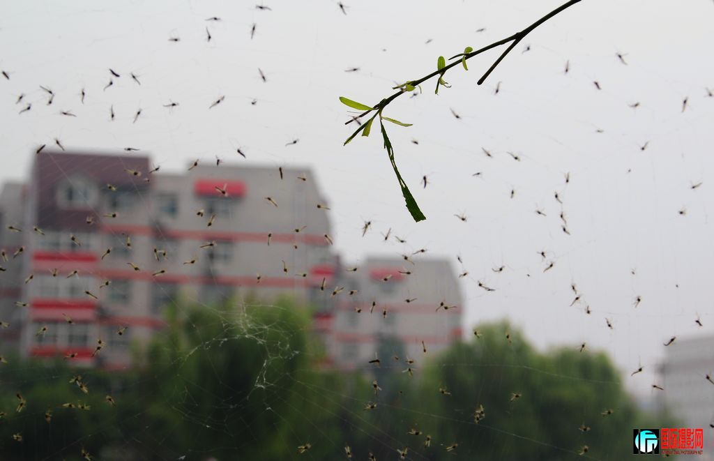 ���������µľ���¥