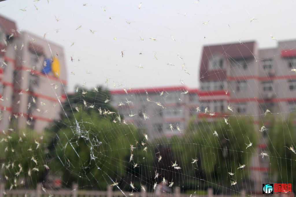 ���������µ�����