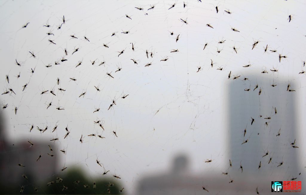 ���������µ�д��¥