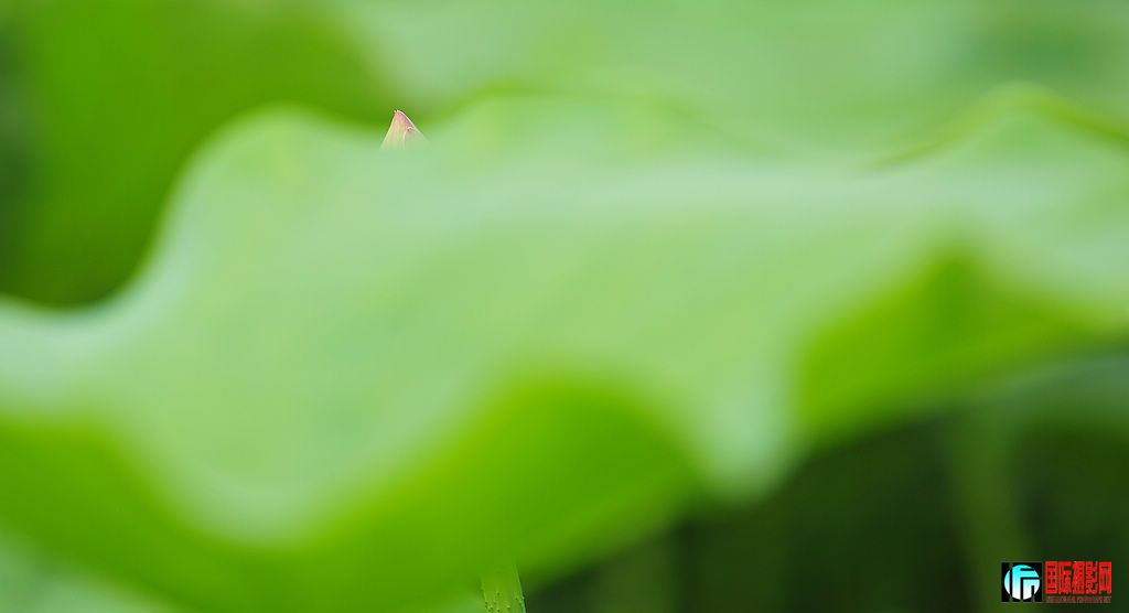 D3X ��2011��6��15��JPG���ɻ� 049.jpg