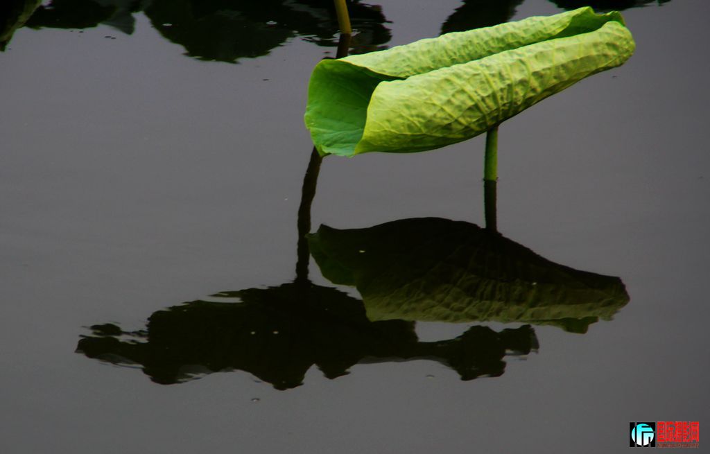 2011��7��23�գ��㸮�ɷ� 197.jpg