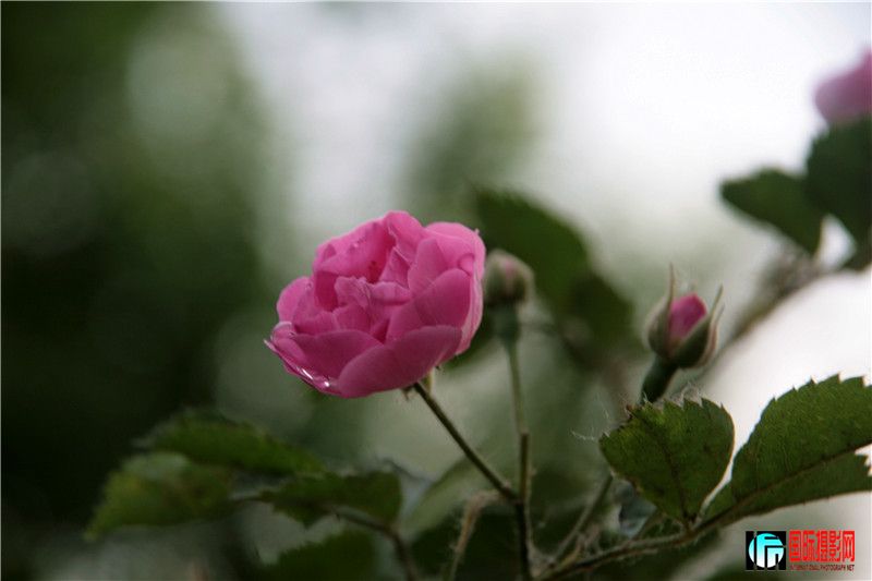 ��Ƭ 210_����.jpg