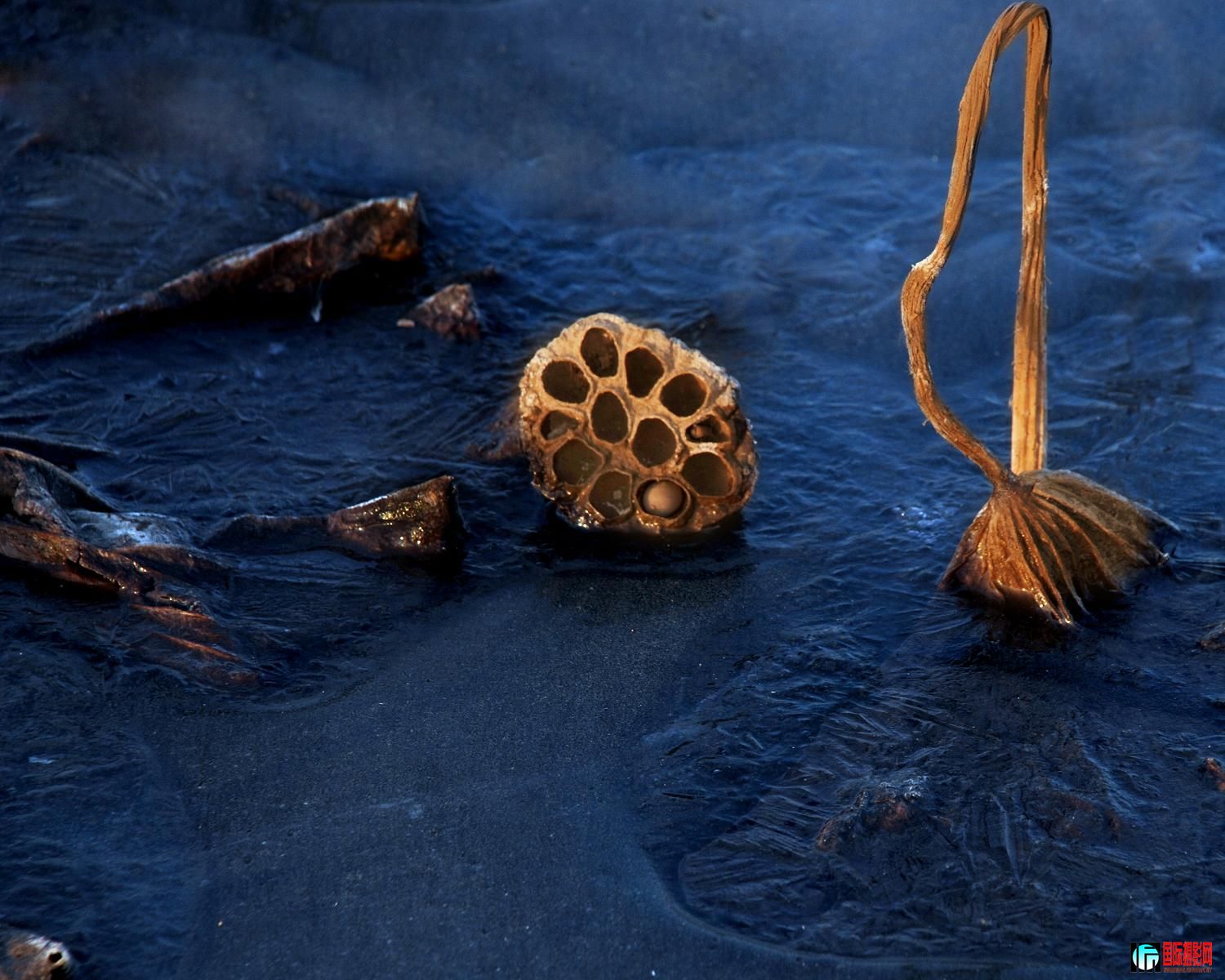 ��ϵ���� (1).JPG