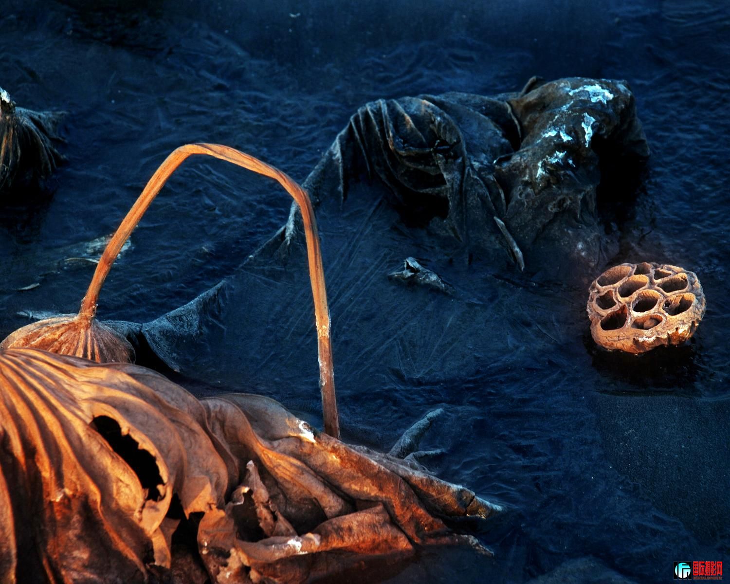 ��ϵ���� (3).JPG