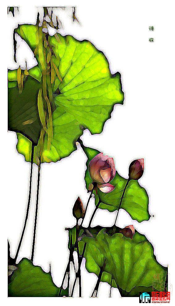 ���� ����.jpg