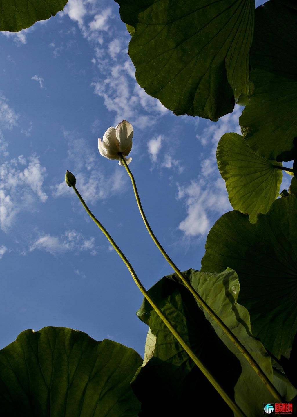 ��  ��   �����  �绰��13935916398.jpg