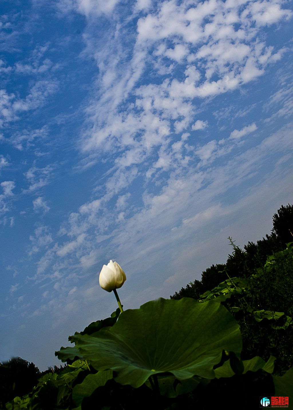 ��--��   �����  �绰��13935916398.jpg