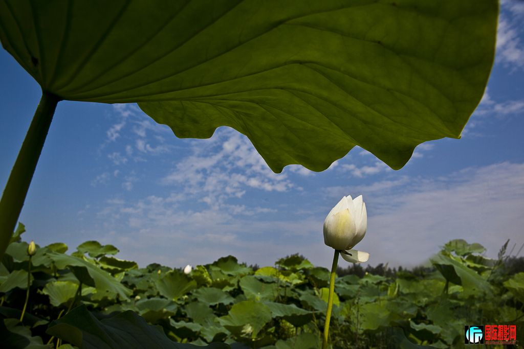 �ǻ�  ����� 13935916398.jpg