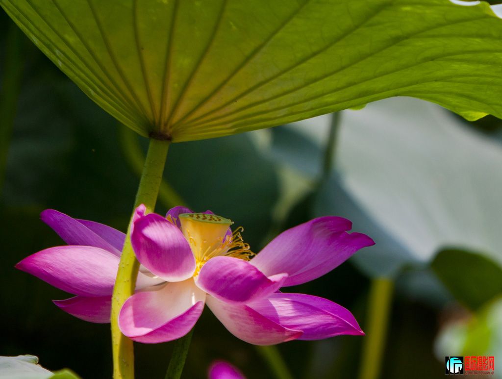 ��  ��  ����� 13935916398.jpg