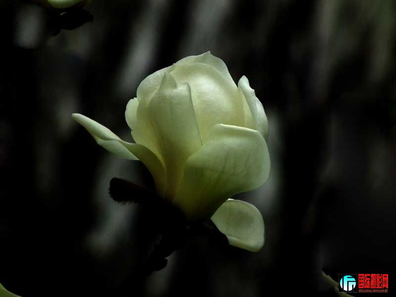 2011-4��1 124.jpg