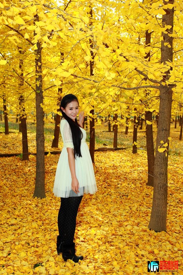 ������������ (10).jpg