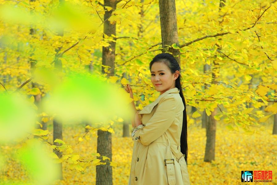 ������������ (23).jpg