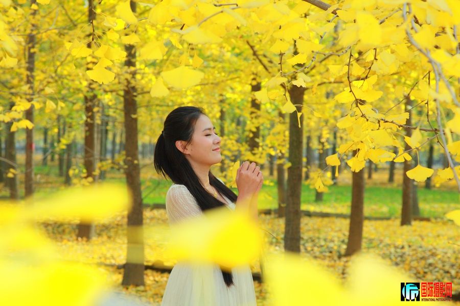 ������������ (11).jpg