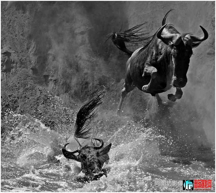 ��Ծ�� ��Ӱ���¿��� ��ڰ׿������ɫɳ��֤�飨�����Ȼ��.jpg