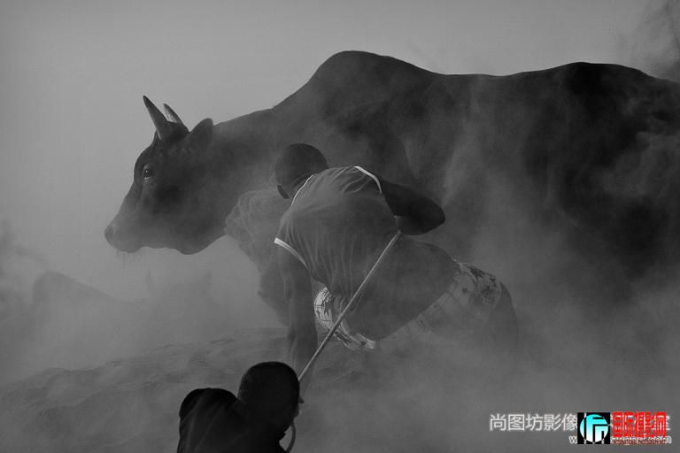 ��collapsing�� ��Ӱ��hamad saud albusaidi�������� ��ڰ׿�����sdf����.jpg