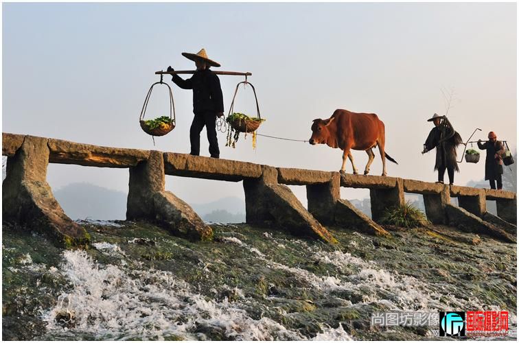 �����顷��Ӱ���¿��� ����Ȫ��ˮ�Ļ���fiapѫ��.jpg