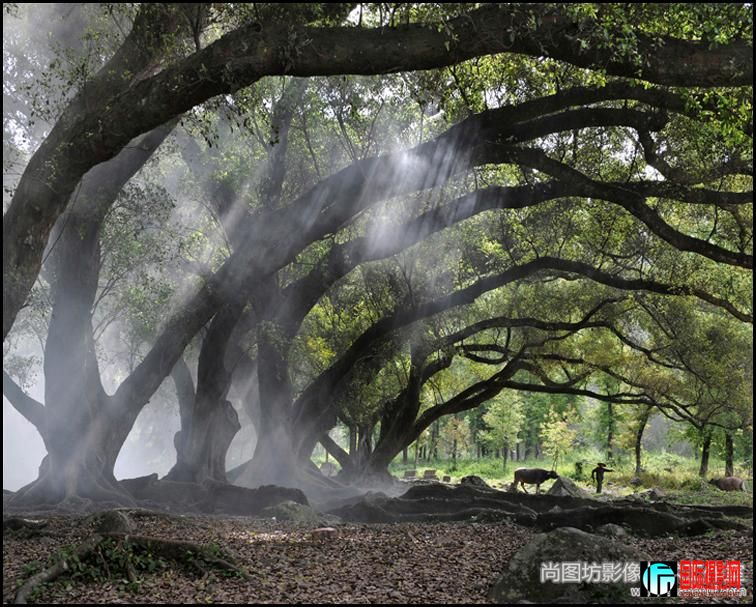 ���Ŵ��䡷��Ӱ�� ��֧ƽ.jpg