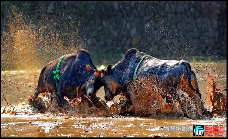 ���� ��Ӱ������ս��.jpg