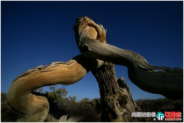 ���������롷��Ӱ���ƽ ����Ȼ��Ƭ��fiapѫ��.jpg