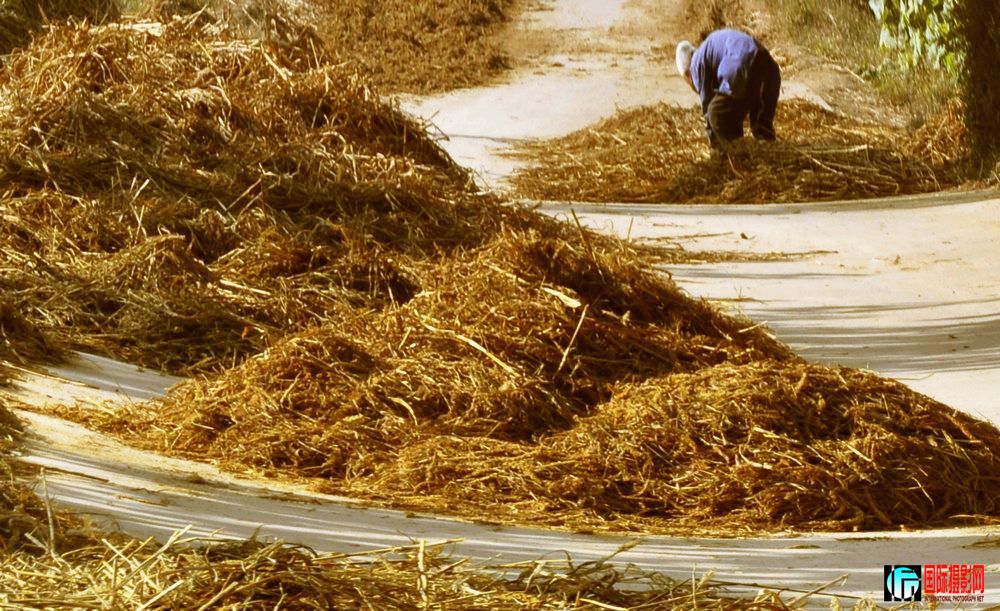 Picture 4315328����.jpg