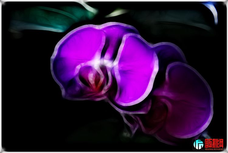 ����ϲӭ�� (1).jpg