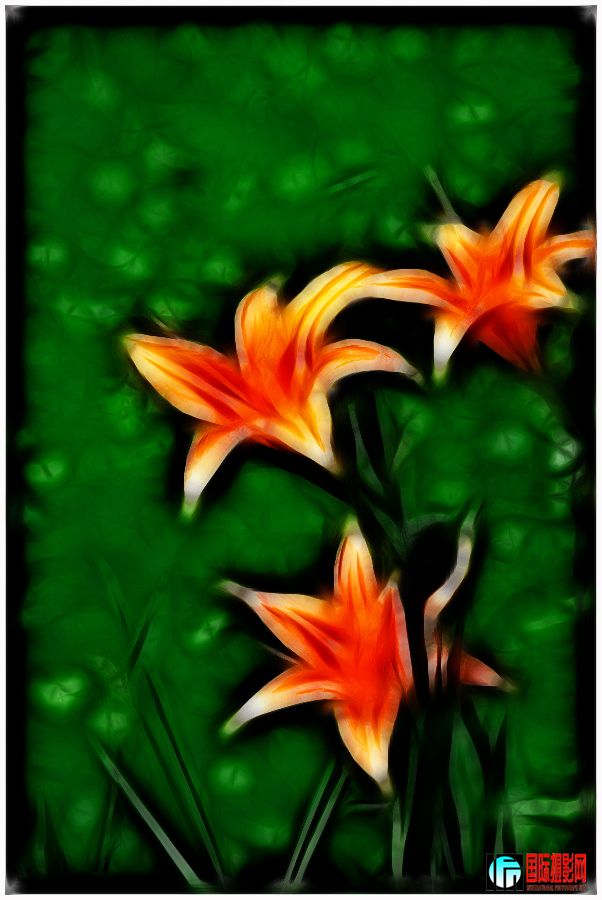 ����ϲӭ�� (6).jpg