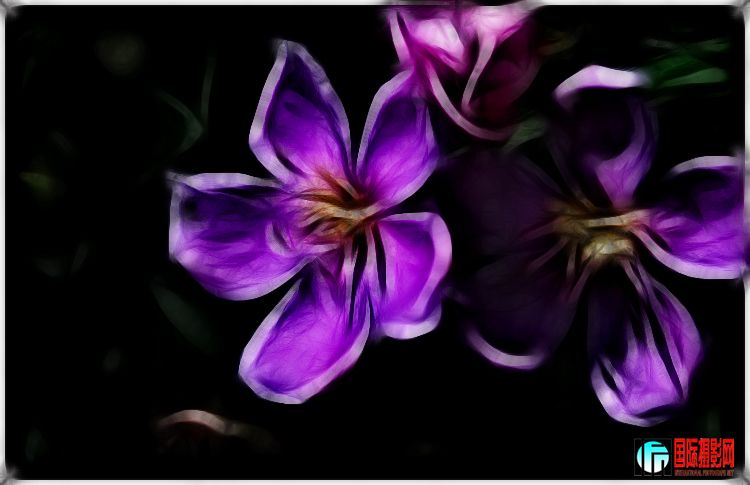 ����ϲӭ�� (4).jpg