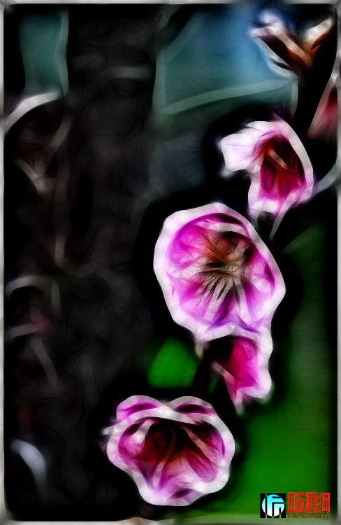 ����ϲӭ�� (2).jpg