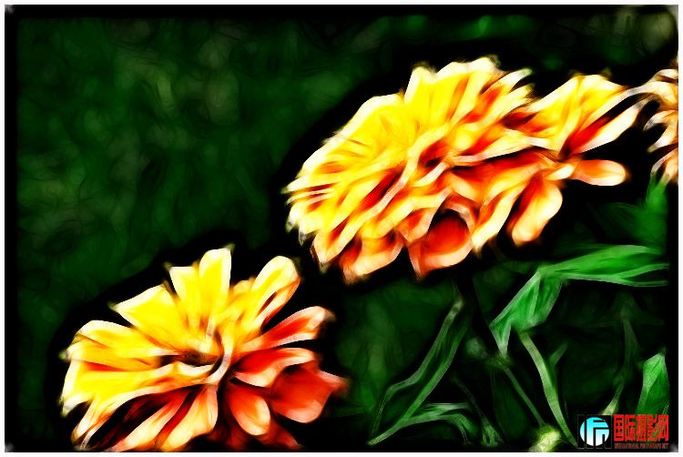 ����ϲӭ�� (7).jpg