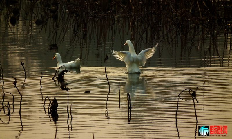 11.26������԰ 114.jpg