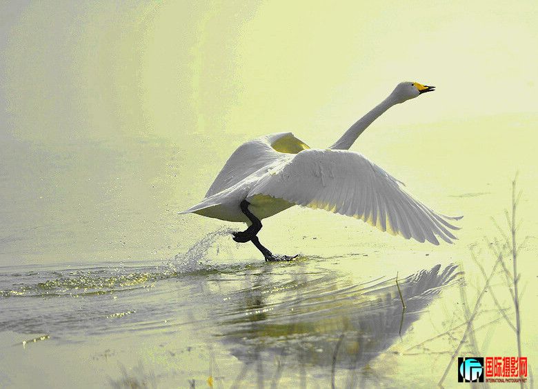 12������Ͽ 431 ����.jpg