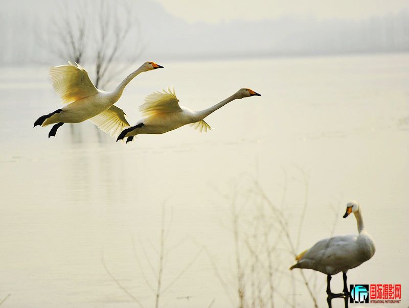 12������Ͽ 366 ����2.jpg