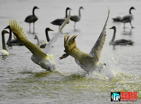 12������Ͽ 605 A����.jpg