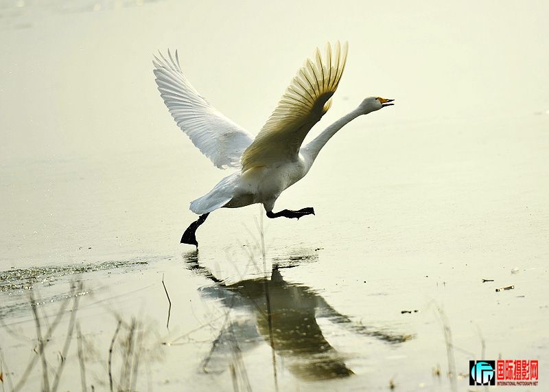 A12������Ͽ 433 ����.jpg