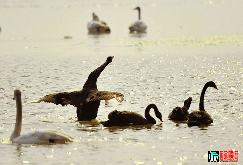 12������Ͽ 623 A����.jpg