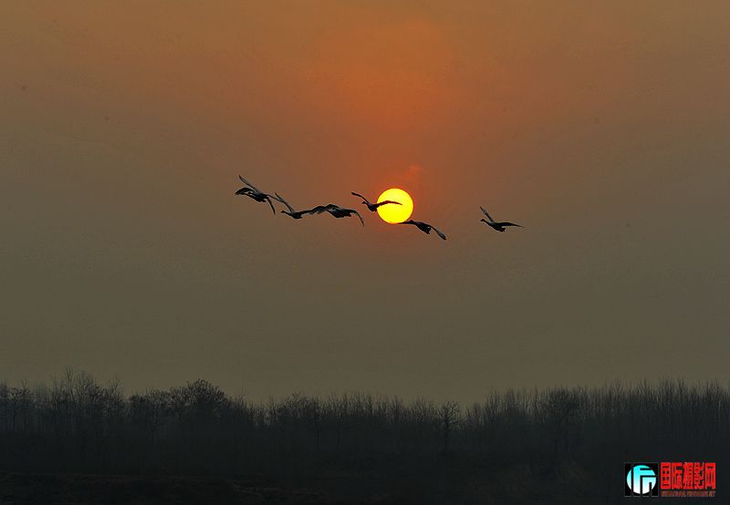 12������Ͽ 1594 Ϧ��5.jpg